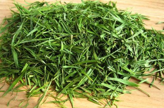 哪類人不適合喝石竹茶，石竹茶的功效與禁忌