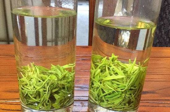 黃金茶的功效及禁忌癥，黃金茶有什么副作用嗎？