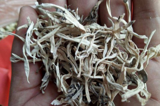 麗江雪茶的禁忌，白雪茶的副作用