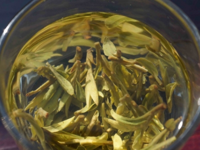 安吉白茶的功效與作用，簡單概括安吉白茶功效
