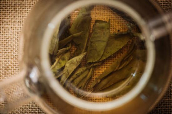 苦丁茶副作用，苦丁可以經(jīng)常喝嗎？