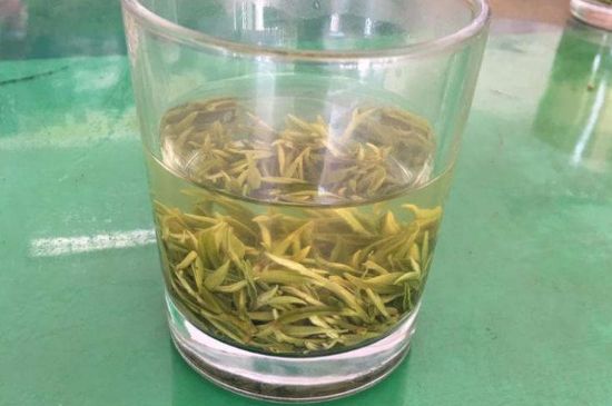碧螺春正確泡法和飲用，碧螺春茶泡茶方法與溫度