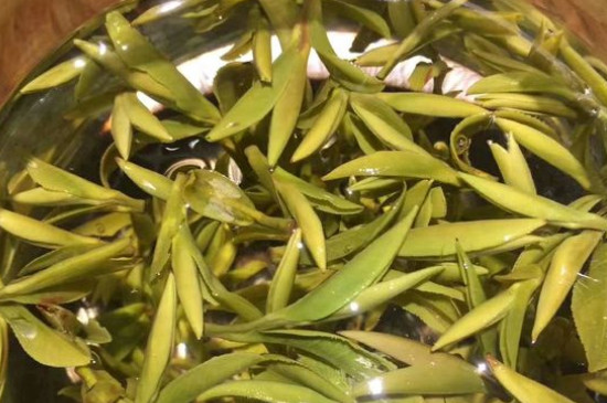 八大茶系都有哪幾種，八大茶系都是什么名字