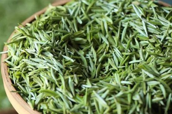 雀舌茶的沖泡方法，怎么沖泡雀舌茶？