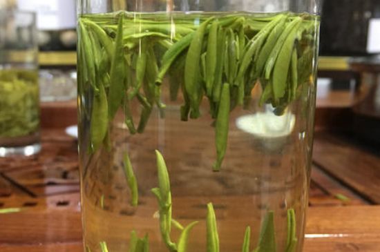 雀舌茶的副作用，雀舌茶什么人不能喝？