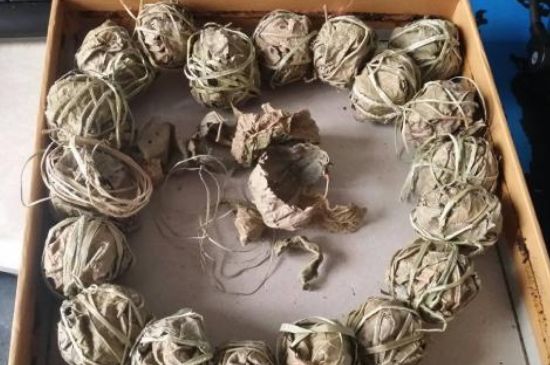 鷓鴣茶用拆開泡嗎，鷓鴣茶要解開繩子泡嗎
