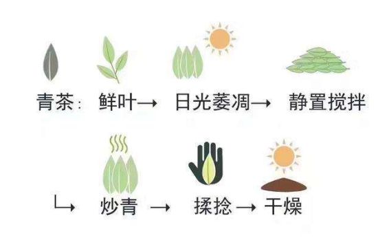 茶葉名稱大全和圖片，茶葉名字大全三四個字！