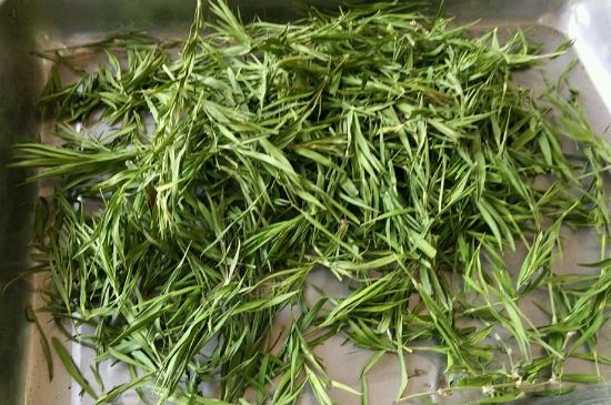 哪類人不適合喝石竹茶，石竹茶的功效與禁忌
