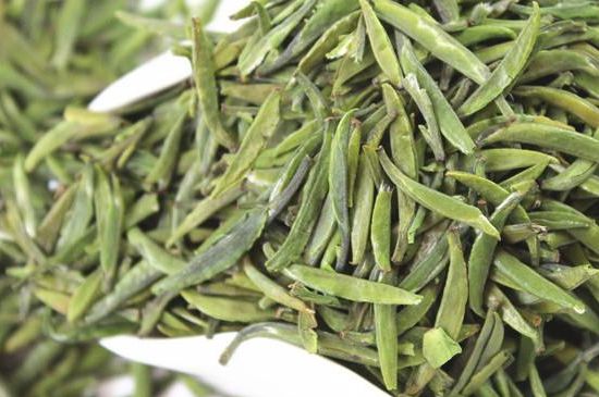 雀舌茶什么人不能喝，雀舌茶的功效與禁忌