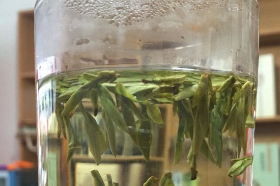 煮茶器能煮龍井嗎，龍井茶能不能用煮茶器圖