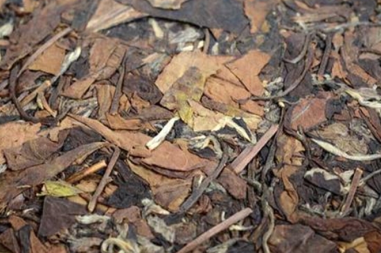 福鼎白茶能長時間悶泡嗎，老白茶可以悶著喝嗎？