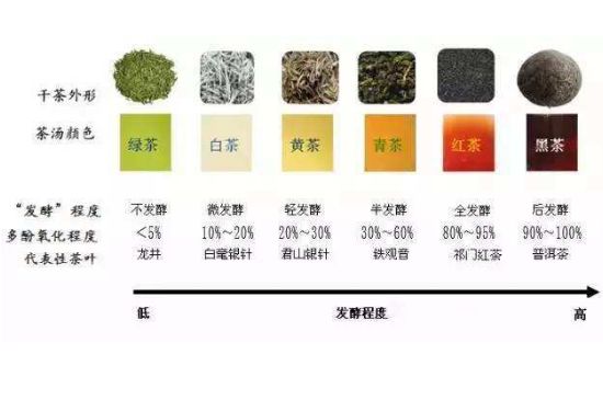 茶葉名稱大全和圖片，茶葉名字大全三四個字！