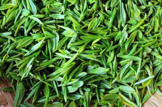 云霧綠茶的功效及禁忌，哪些人不適合喝云霧茶