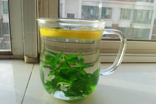 薄荷茶的功效與作用，喝薄荷茶有什么好處？