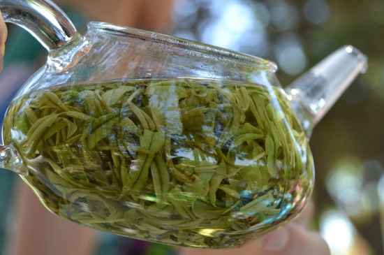 新手學(xué)泡茶的基本常識(shí)，從零開始學(xué)泡茶