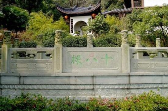 世界最貴的茶葉排行榜，十大最貴的茶