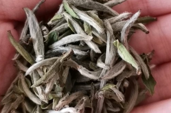 如何買茶葉不上當，怎么買茶葉不被坑？