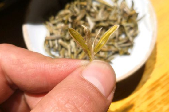 六大茶類哪種適合長(zhǎng)期存放，日常如何保存方法一覽？
