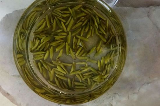 茶葉在哪里買比較好，哪里能買到好的茶葉