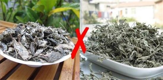 張家界茅巖莓茶與藤茶是同一種茶嗎，藤茶跟莓茶一不一樣？