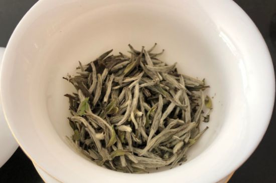 春茶上市白茶的好壞怎么區(qū)分，春白茶怎么分辨好不好？
