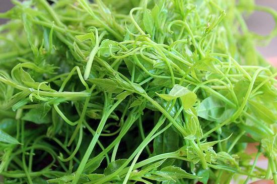 茅巖莓茶別名是什么，莓茶別名叫藤茶嗎？