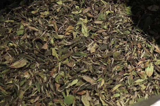 陳茶還是新茶好，茶葉是新茶好喝還是陳茶好喝