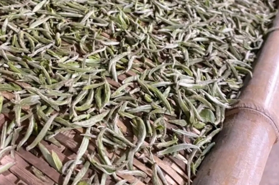 過期茶葉的八大妙用，過期的陳茶葉還能干什么用？