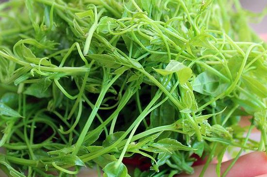 茅巖莓茶保質(zhì)期有多久，張家界莓茶存放時間長了還能喝嗎？