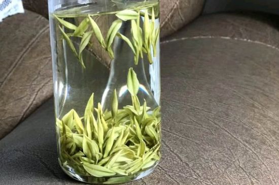 安吉白茶夏天怎么保存，安吉白茶能冷凍儲(chǔ)存嗎？