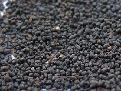 圓形顆粒狀茶是什么茶，像飼料一樣一粒粒的是什么茶？
