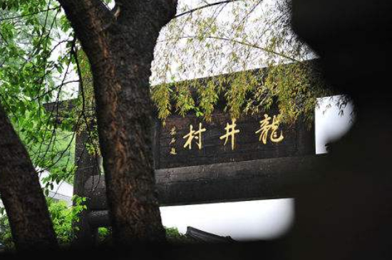 杭州買龍井茶攻略，怎么買到正宗的西湖龍井？