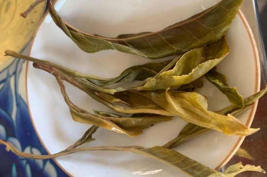 普洱茶十大學(xué)費(fèi)茶排名，吉普H是學(xué)費(fèi)茶？
