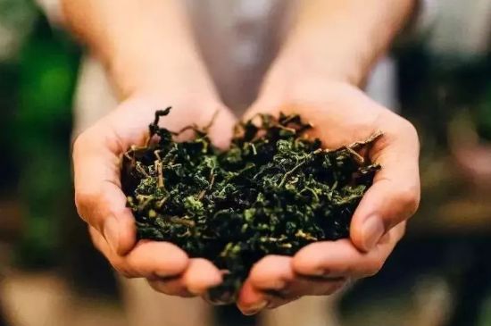 茶葉怎么炒制才香，怎樣炒茶葉更香？