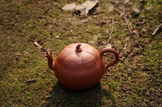 紫砂壺泡什么茶最佳，紫砂壺一般泡什么茶？