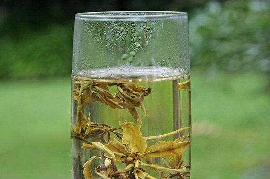 茉莉龍珠什么人不能喝，茉莉龍珠茶什么體質(zhì)不能喝？