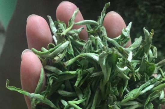 茉莉茶如何制作曬干，自制茉莉茶的做法
