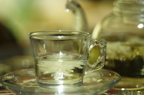 菊花茶天天喝行嗎，每天喝菊花泡茶喝好嗎？