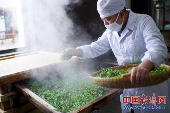炒青綠茶與綠茶的區(qū)別，烘青和炒青哪個好喝？