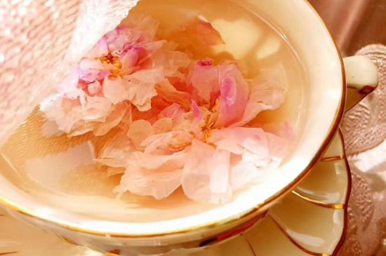 玫瑰花茶一周喝幾次，玫瑰花茶可以天天喝嗎？