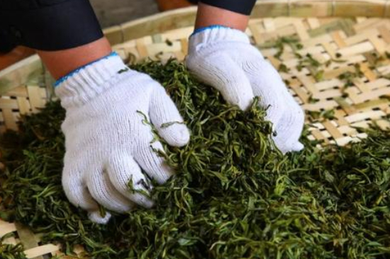 綠茶加工工藝流程圖，綠茶的加工制作包含哪幾個(gè)步驟？