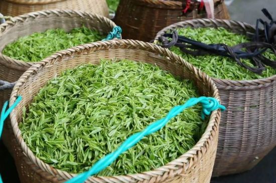 茶葉怎么炒制才香，怎樣炒茶葉更香？