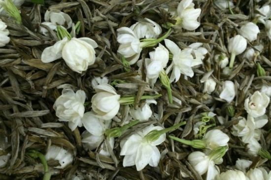 茉莉銀針口感，茉莉銀針是什么味道？