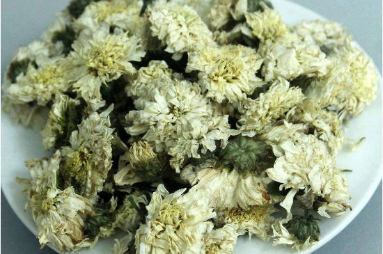 菊花茶買小朵還是大朵，泡茶用的小菊花和大菊花哪個好