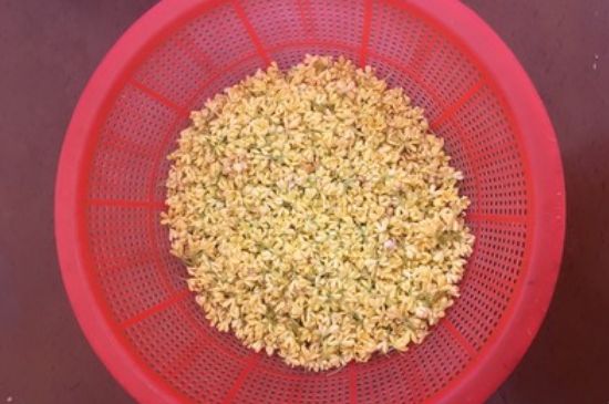干桂花茶的制作方法，怎樣自制桂花茶？
