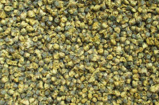 菊花茶大朵小朵有什么區(qū)別，菊花喝大朵還是小朵？