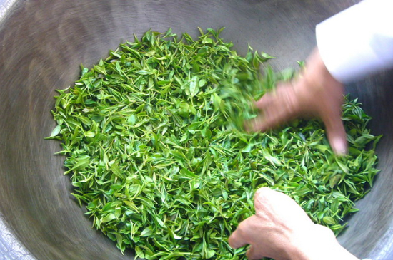 綠茶加工工藝流程圖，綠茶的加工制作包含哪幾個(gè)步驟？