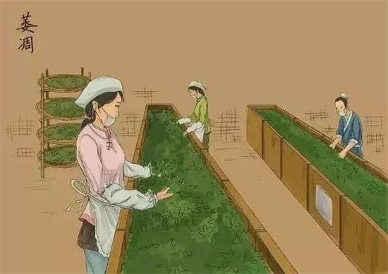 制茶八步驟，制茶工藝流程圖