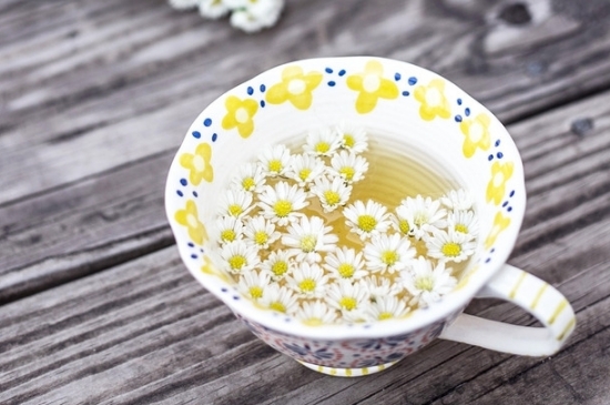 孕婦可以喝菊花茶嗎，菊花對胎兒有致畸作用？