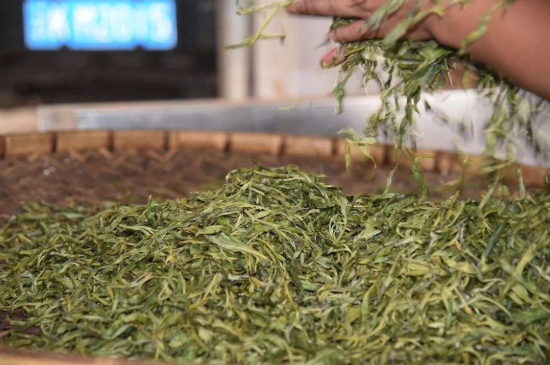 炒青綠茶與綠茶的區(qū)別，烘青和炒青哪個好喝？